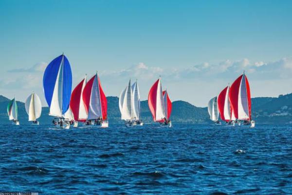 上海本地靠谱体育培训品牌盘点